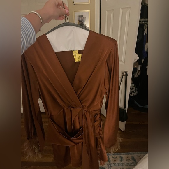 Kendall Lane Brown Feather Dress - Picture 4 of 7